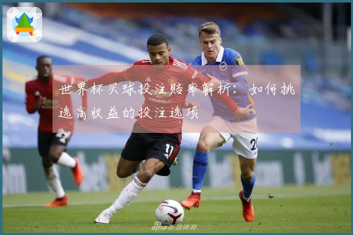 世界杯买球投注赔率解析：如何挑选高收益的投注选项