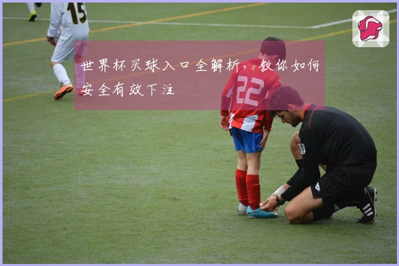 世界杯买球入口全解析，教你如何安全有效下注