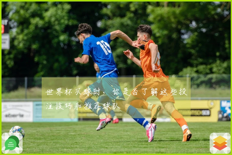 世界杯买球时，你是否了解这些投注技巧和推荐球队