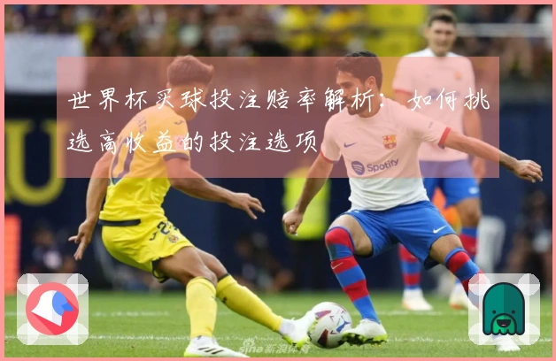 世界杯买球投注赔率解析：如何挑选高收益的投注选项