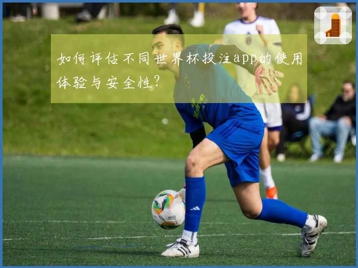 如何评估不同世界杯投注app的使用体验与安全性？