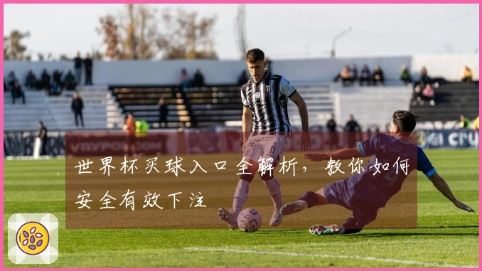 世界杯买球入口全解析，教你如何安全有效下注